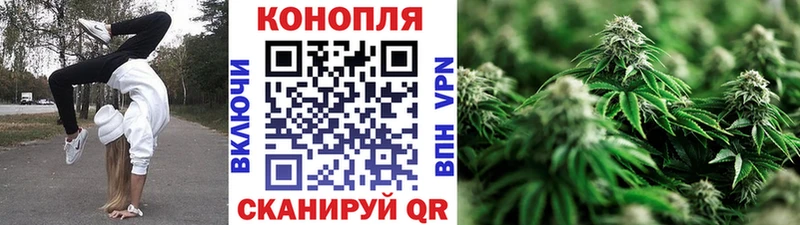 Марихуана план  хочу наркоту  Бежецк 